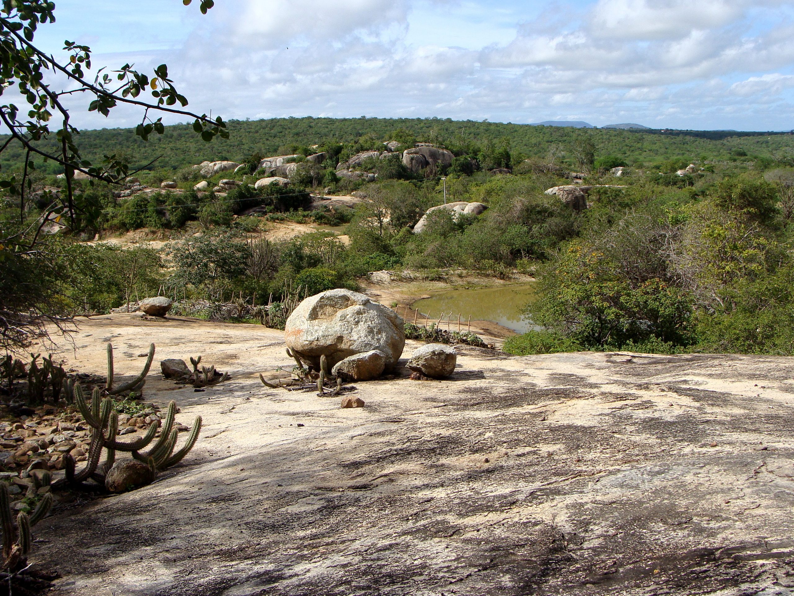 Caatinga e o Nordeste Brasileiro