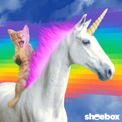 Gifs engraçados
