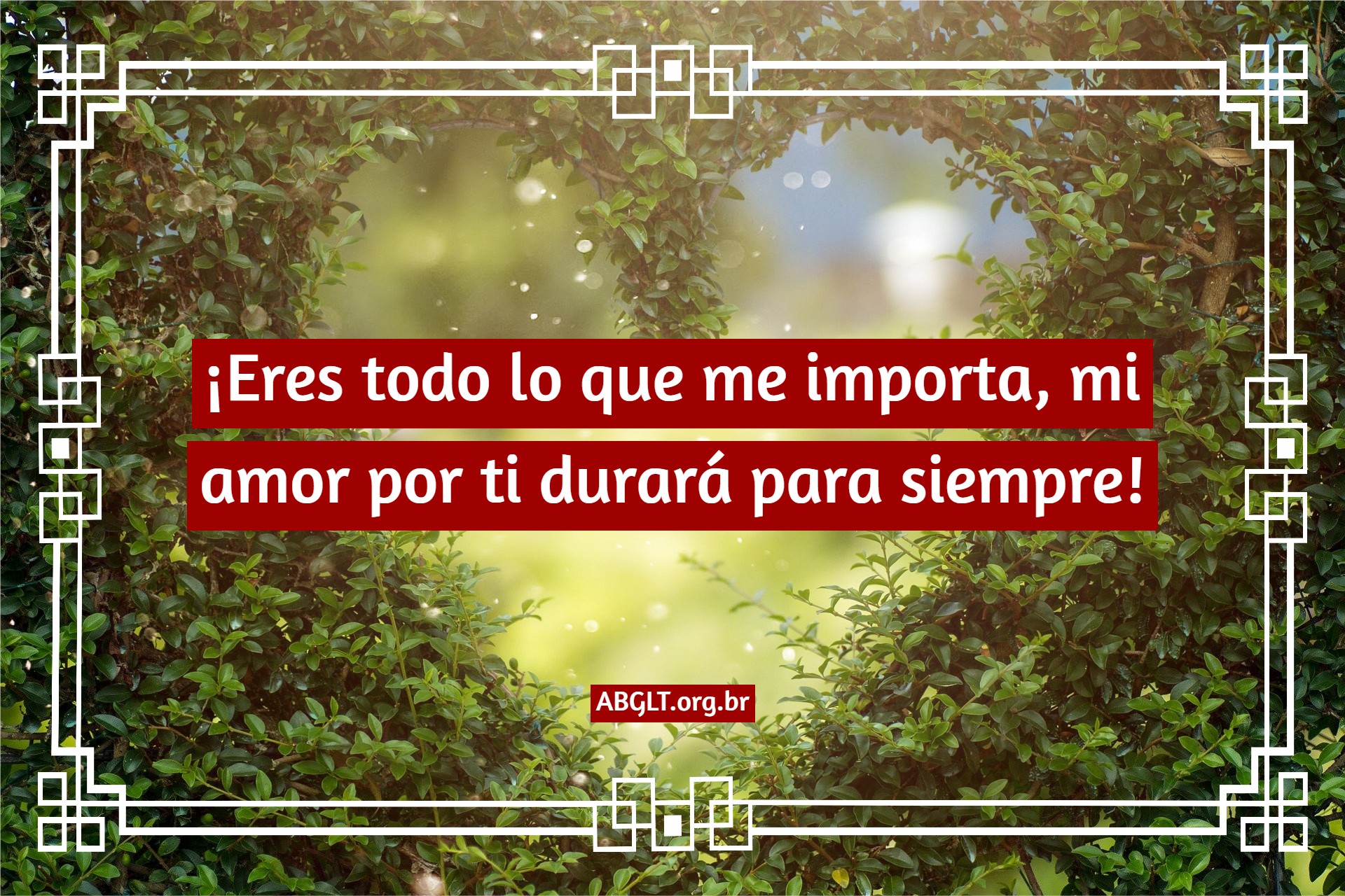 Declaraciones de amor en frases y mensajes