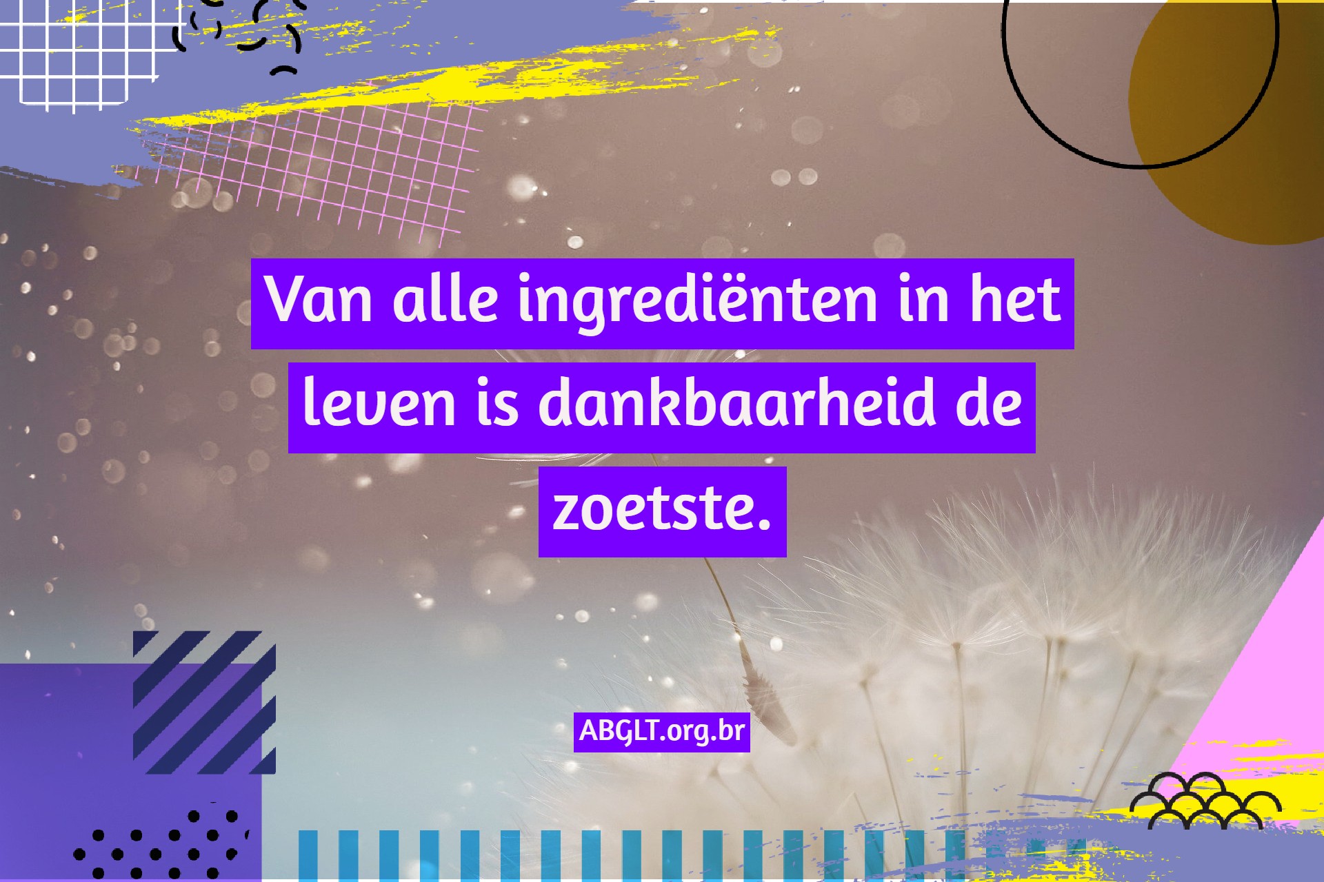 Dankbaarheidszinnen en berichten