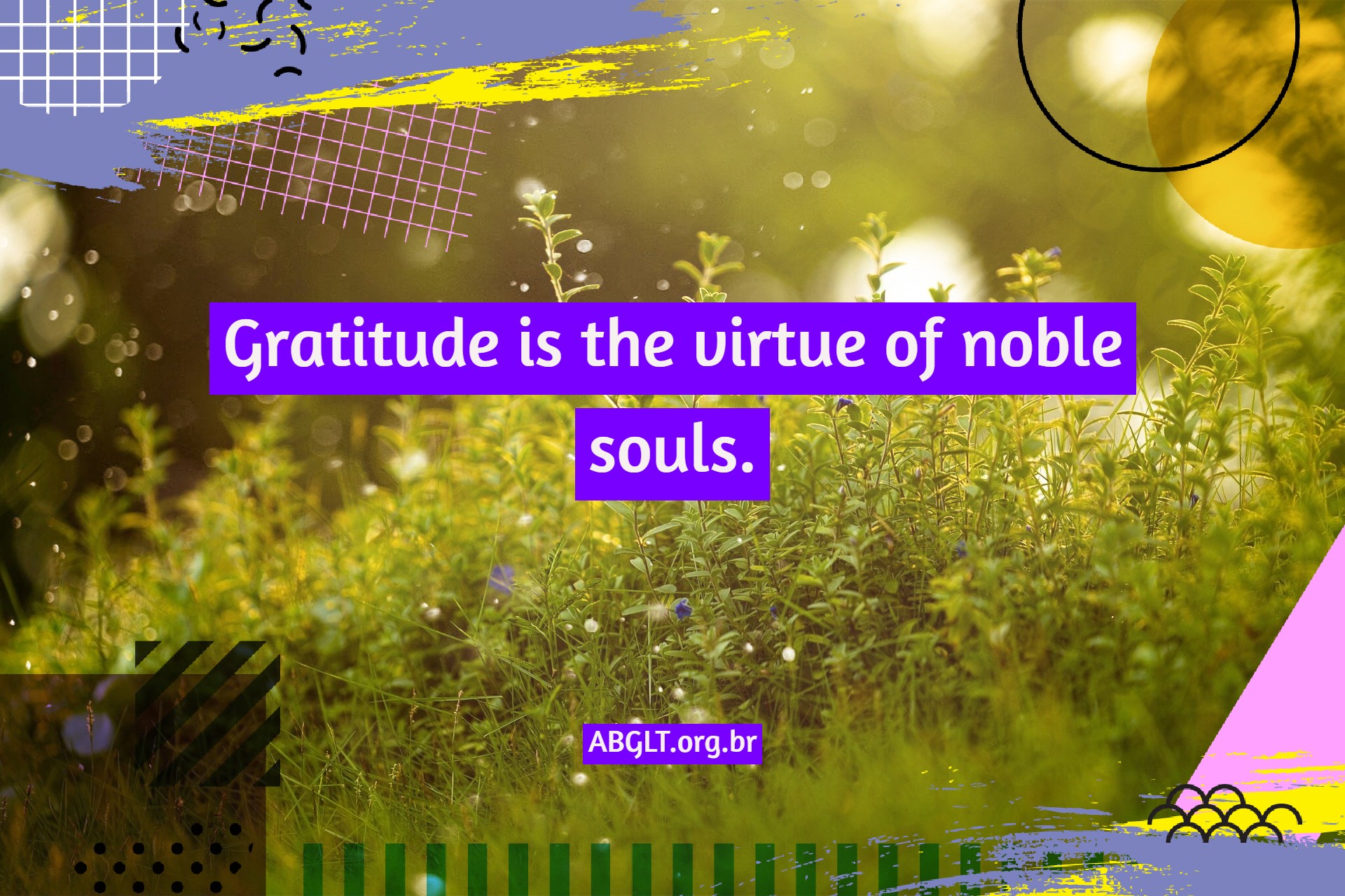 Gratitude phrases and messages