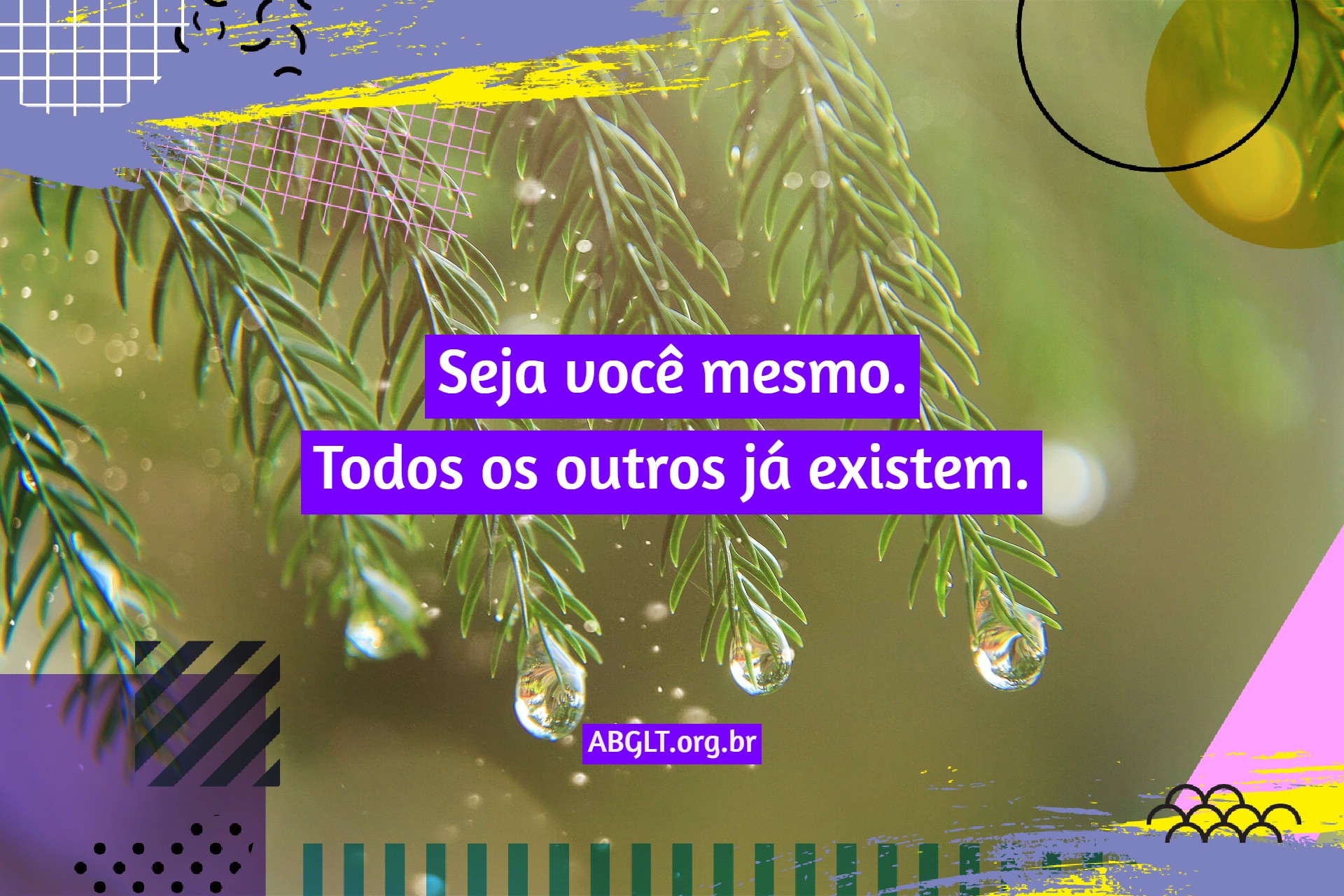 Frases de Amor Próprio
