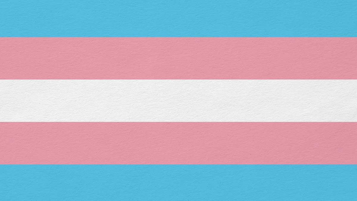 bandeira trans