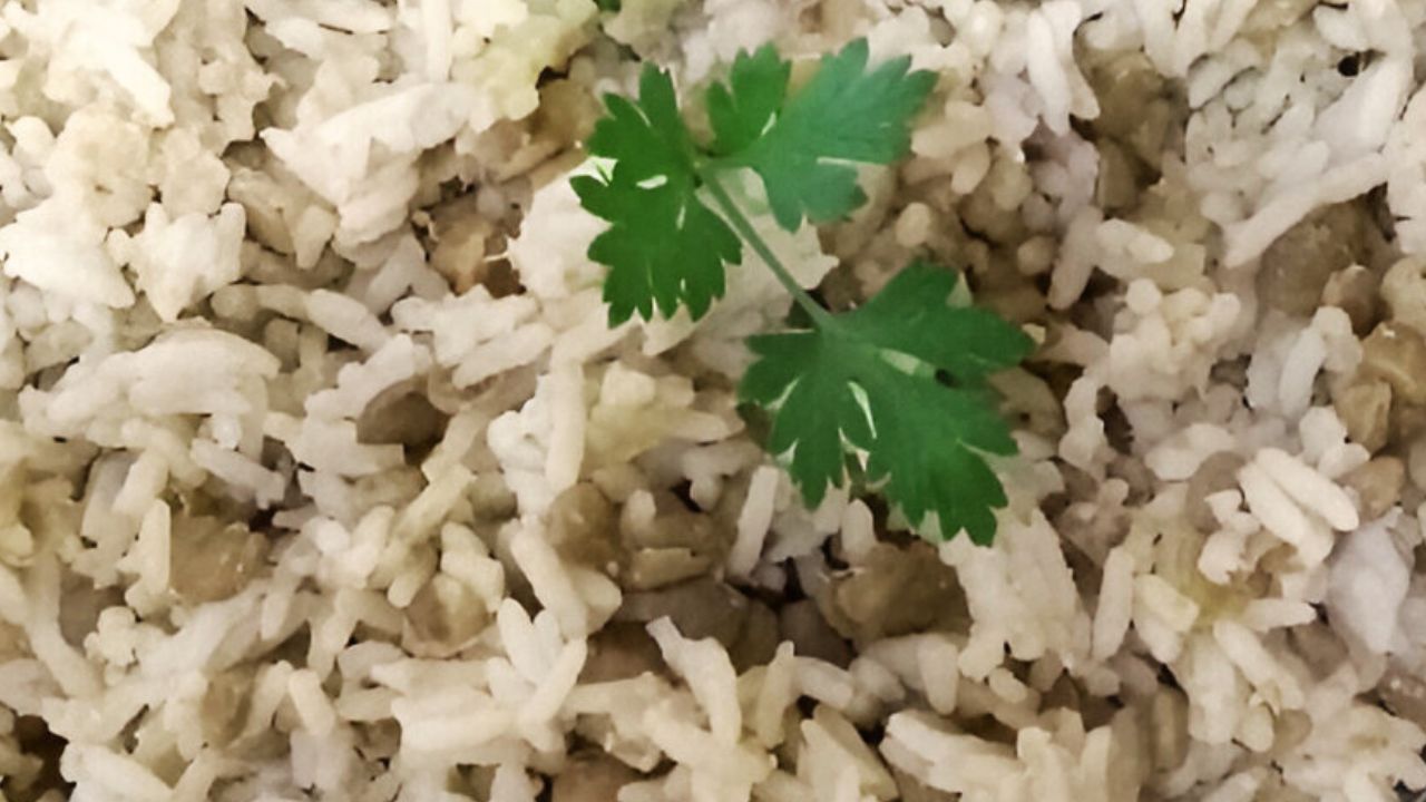 Arroz com Lentilha